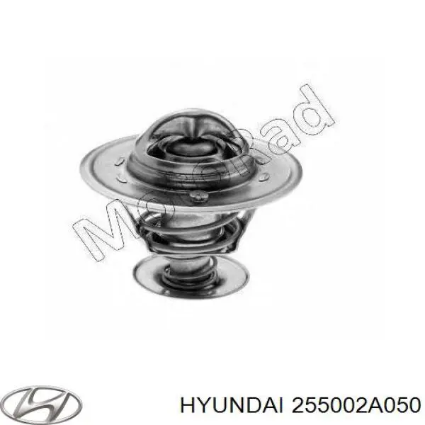 Termostat 255002A050 Hyundai/Kia