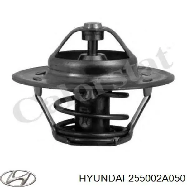 255002A050 Hyundai/Kia Termostat
