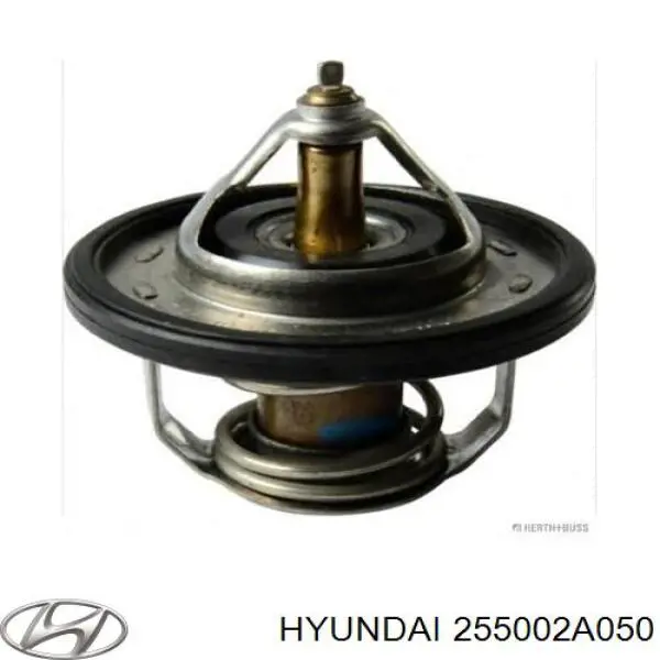 Termostat Hyundai/Kia 255002A050