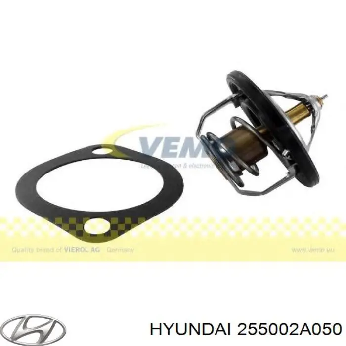 Do koszyka 255002A050 Hyundai/Kia Termostat