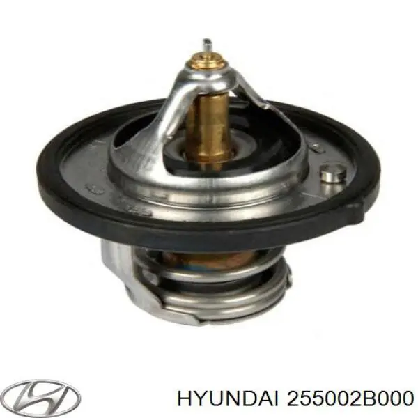 Termostat Hyundai/Kia 255002B000 cena, od 14,83 USD
