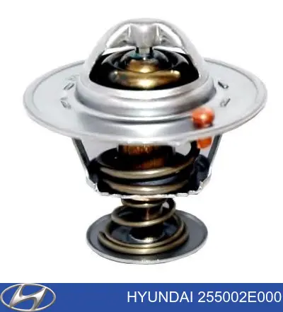 255002E000 Hyundai/Kia termostat