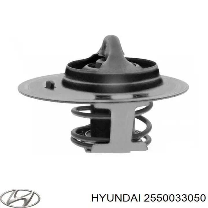 Do koszyka 2550033050 Hyundai/Kia Termostat
