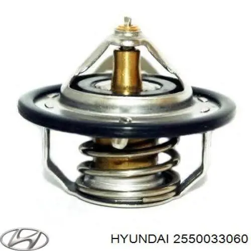 2550033060 Hyundai/Kia termostat