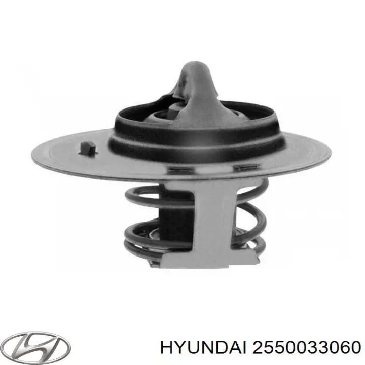 Do koszyka 2550033060 Hyundai/Kia Termostat