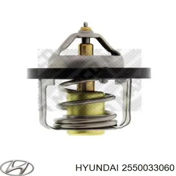 2550033060 Hyundai/Kia Termostat