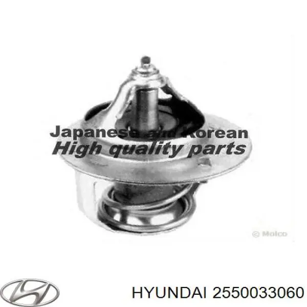 2550033060 Hyundai/Kia Termostat