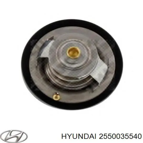 Termostat Hyundai/Kia 2550035540