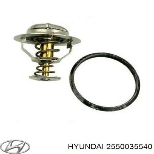 2550035540 Hyundai/Kia termostat