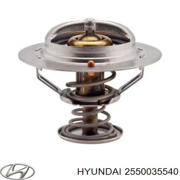 2550035540 Hyundai/Kia Termostat