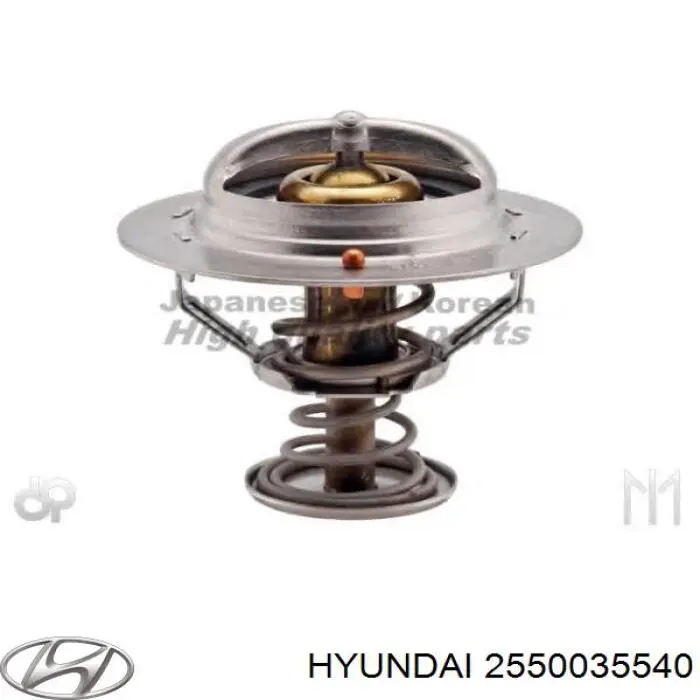 2550035540 Hyundai/Kia Termostat
