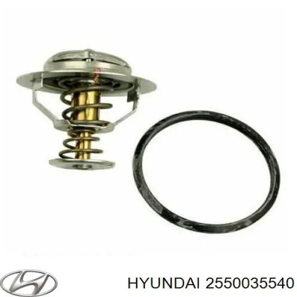Termostat Hyundai/Kia 2550035540 cena, od 28,69 USD