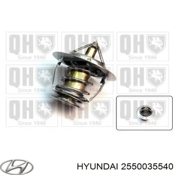 Termostat 2550035540 Hyundai/Kia
