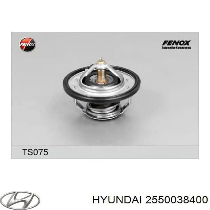Do koszyka 2550038400 Hyundai/Kia Termostat