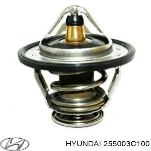 255003C100 Hyundai/Kia Termostat