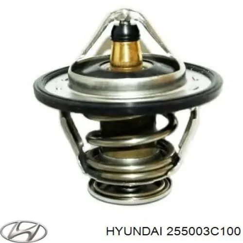 Termostat Hyundai/Kia 255003C100 cena, od 16,11 USD