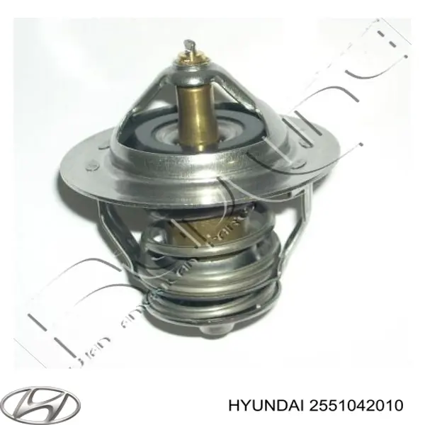 2551042010 Hyundai/Kia Termostat