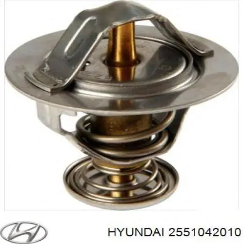 2551042010 Hyundai/Kia termostat