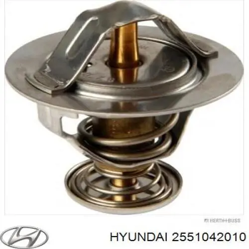 2551042010 Hyundai/Kia Termostat