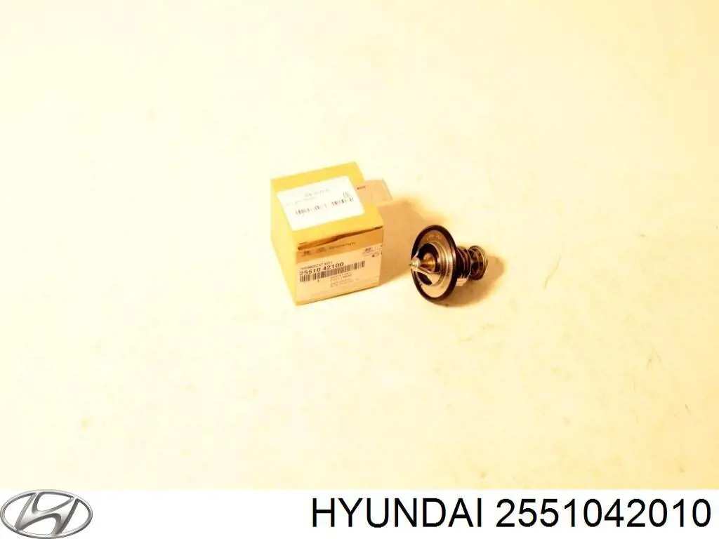Termostat Hyundai/Kia 2551042010
