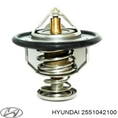 2551042100 Hyundai/Kia termostat