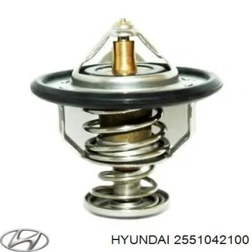 2551042100 Hyundai/Kia Termostat