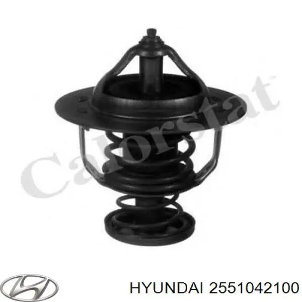 2551042100 Hyundai/Kia Termostat