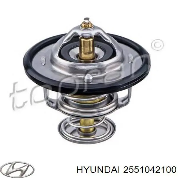 Termostat 2551042100 Hyundai/Kia