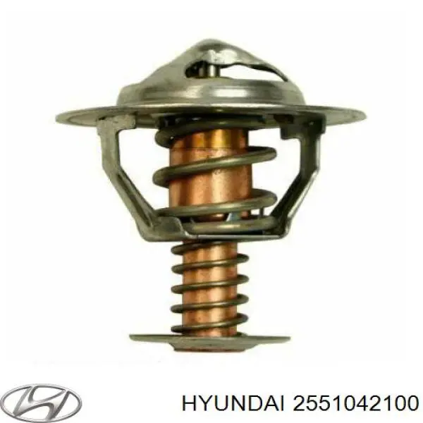 Termostat Hyundai/Kia 2551042100