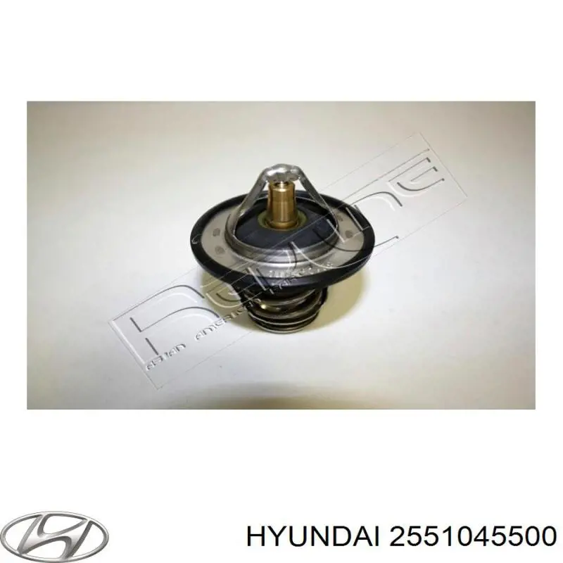 2551045500 Hyundai/Kia Termostat