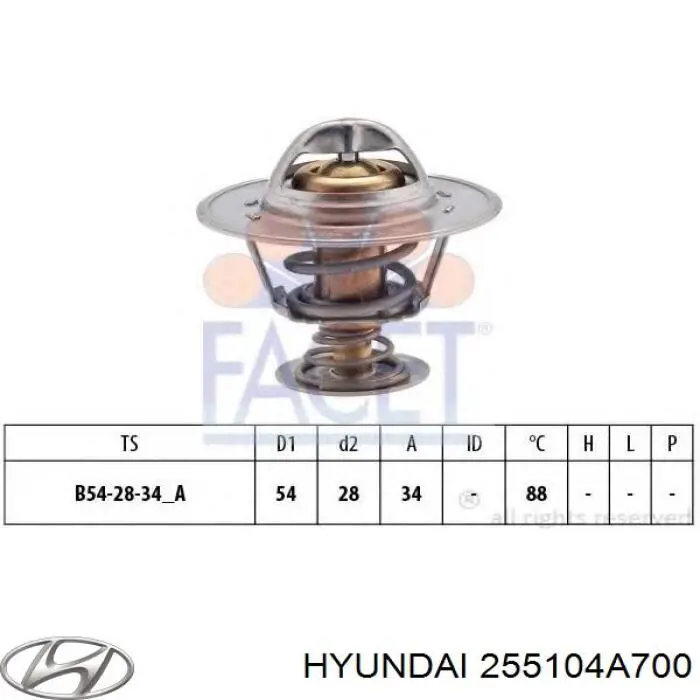 255104A700 Hyundai/Kia Termostat