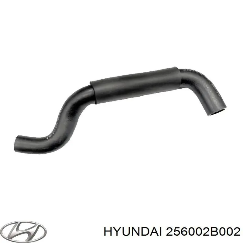 Obudowa termostatu Hyundai/Kia 256002B002 cena, od 110,29 USD