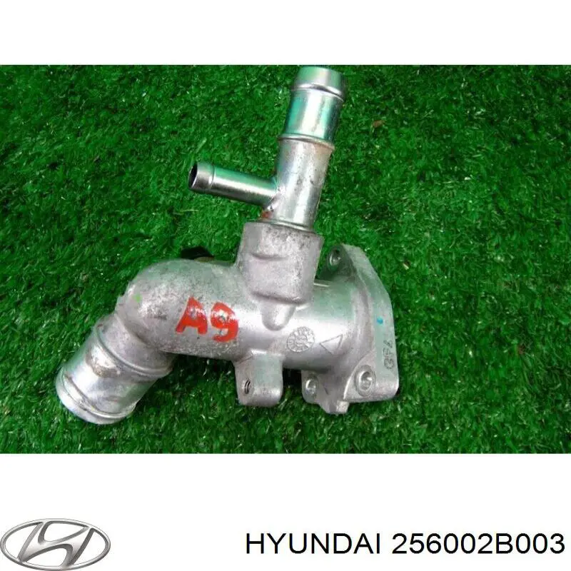 Obudowa termostatu do Hyundai SOLARIS I SBR11