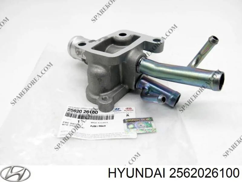 Zawór recyrkulacji spalin EGR Hyundai/Kia 2562026100 cena, od 33,94 USD