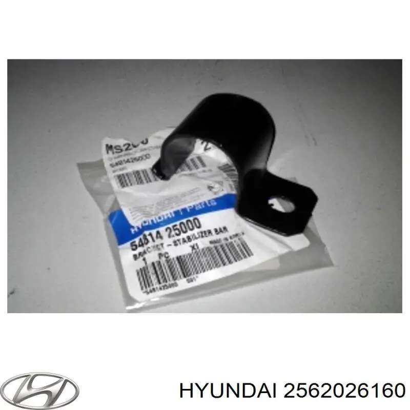2562026160 Hyundai/Kia Zawór recyrkulacji spalin EGR
