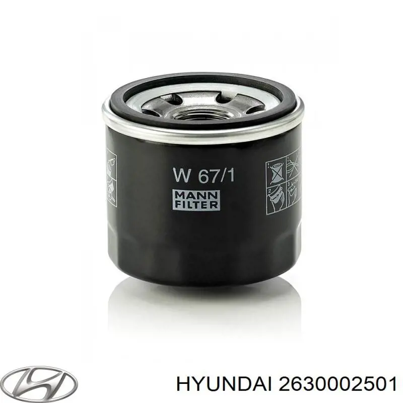 Filtr oleju 2630002501 Hyundai/Kia