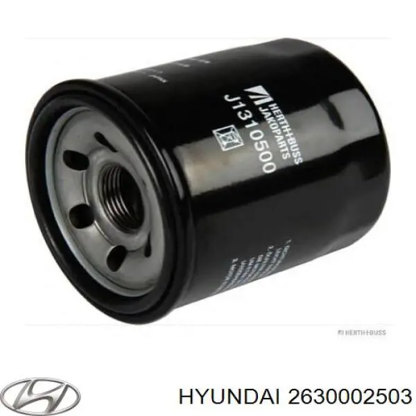 Do koszyka 2630002503 Hyundai/Kia Filtr oleju