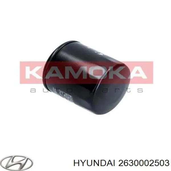 Filtr oleju 2630002503 Hyundai/Kia