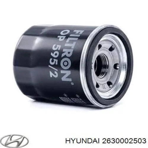 Filtr oleju Hyundai/Kia 2630002503