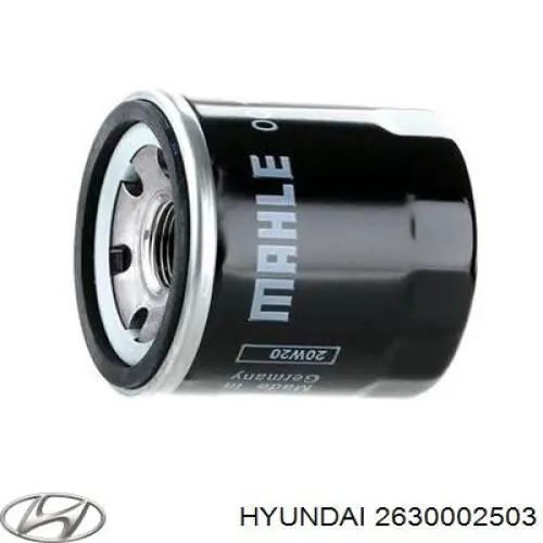 Filtr oleju Hyundai/Kia 2630002503 cena, od 8,00 USD