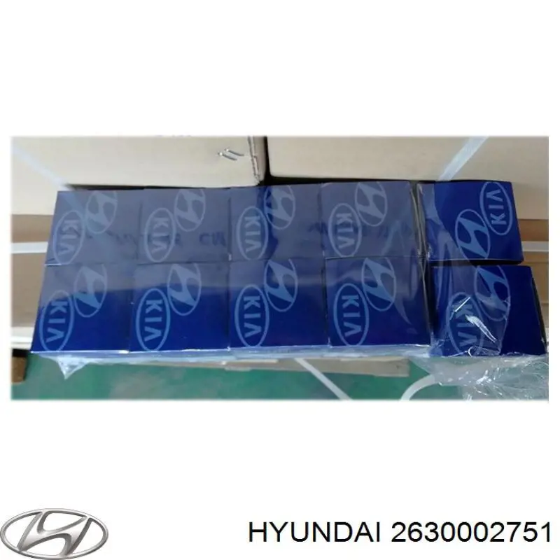 Do koszyka 2630002751 Hyundai/Kia Filtr oleju
