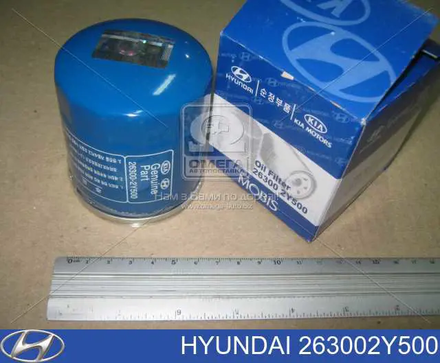 Do koszyka 263002Y500 Hyundai/Kia Filtr oleju