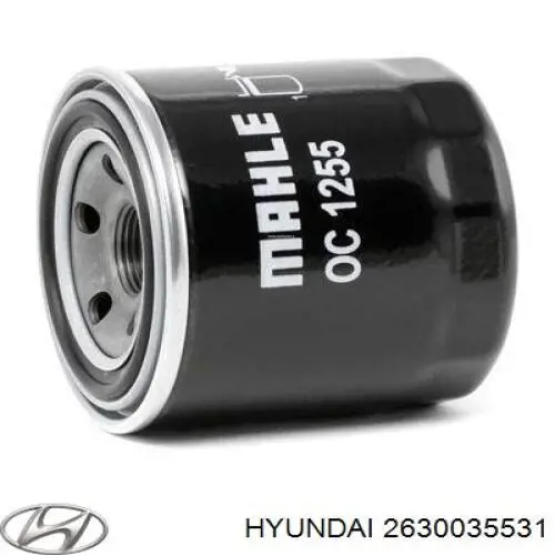 Filtr oleju Hyundai/Kia 2630035531 cena, od 8,65 USD