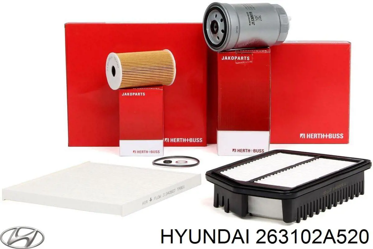 Filtr oleju Hyundai/Kia 263102A520 cena, od 8,82 USD