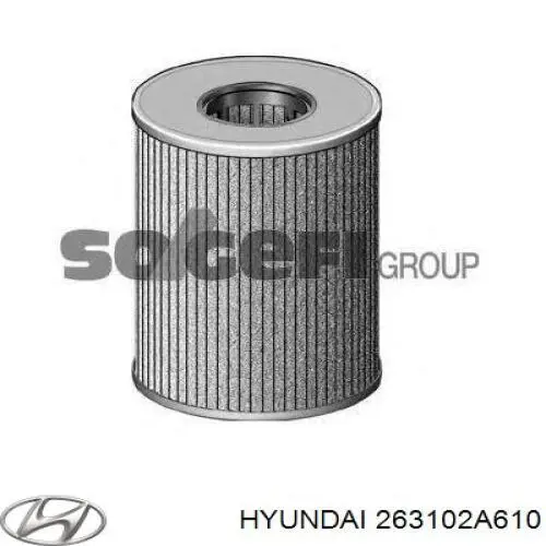 Filtr oleju 263102A610 Hyundai/Kia