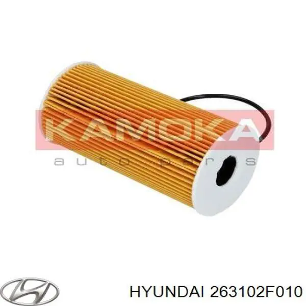 Do koszyka 263102F010 Hyundai/Kia Filtr oleju