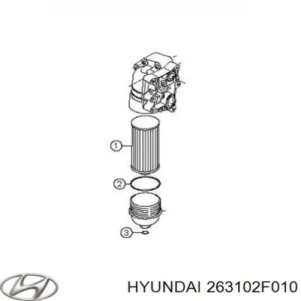 Filtr oleju Hyundai/Kia 263102F010 cena, od 5,34 USD