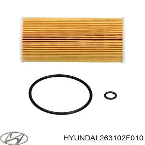 Filtr oleju Hyundai/Kia 263102F010