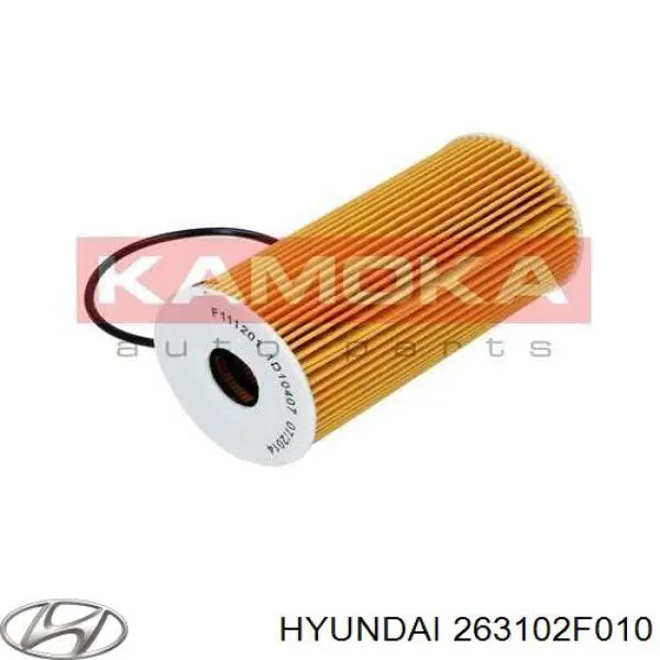 Filtr oleju Hyundai/Kia 263102F010 cena, od 5,34 USD