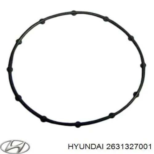 2631327001 Hyundai/Kia Pierścień uszczelniający między korpusm filtra oleju a wymiennikiem ciepła